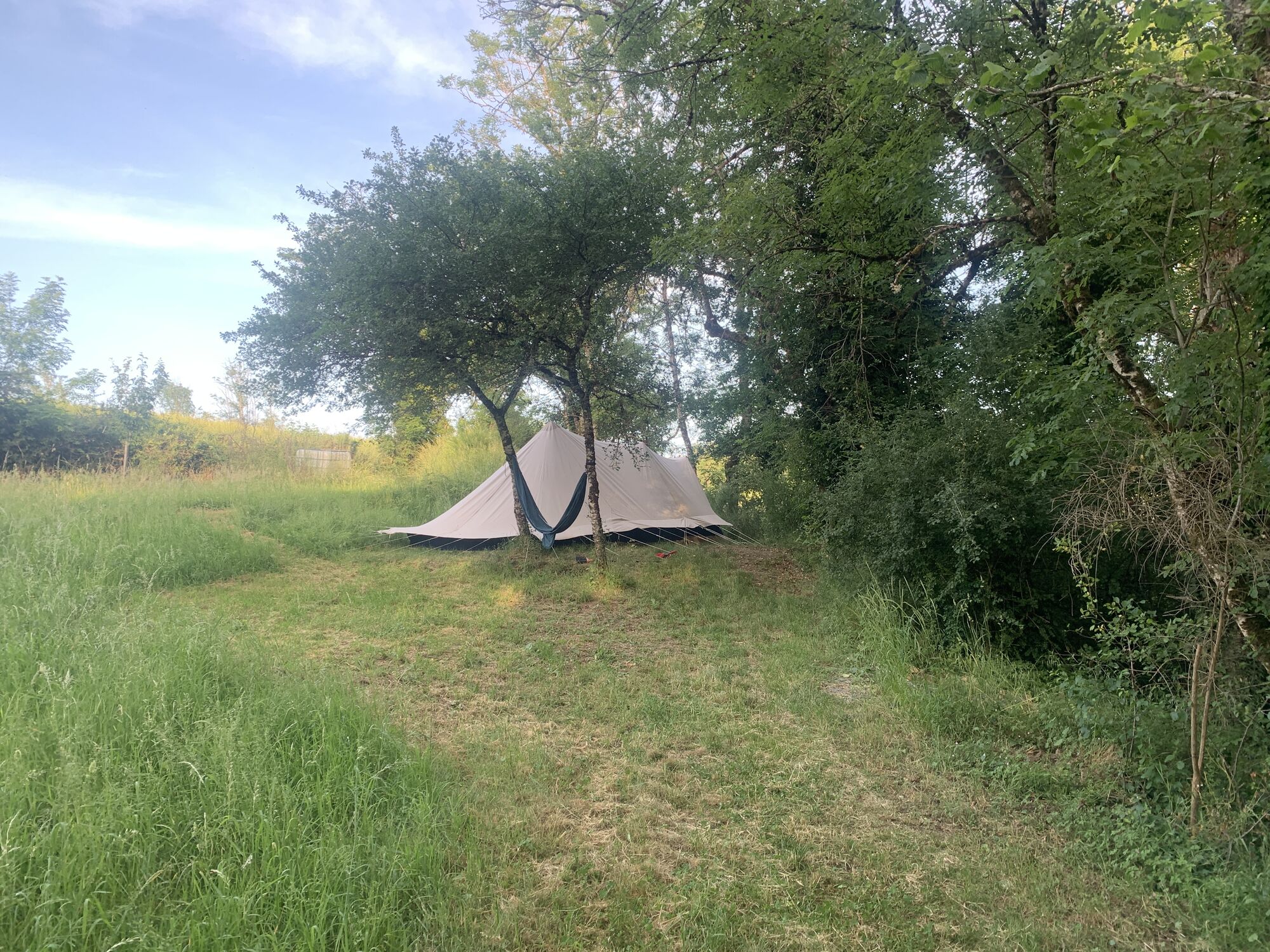 Tent op de kampeerplek onder de bomen